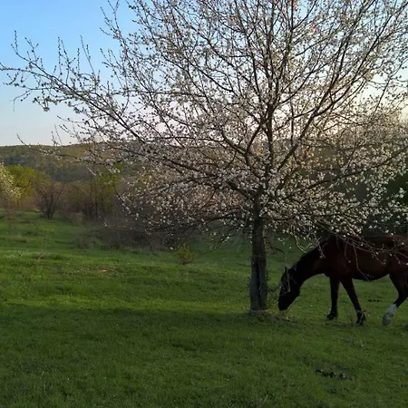 Vaya Holiday Pismenovo